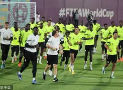 九游体育-海登海姆vs法兰克福比赛分析